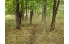Property photo 2 - 133+/- Acres Offered in 4 Tracts - Farmland, Hunting & Recreation or Future Building Sites